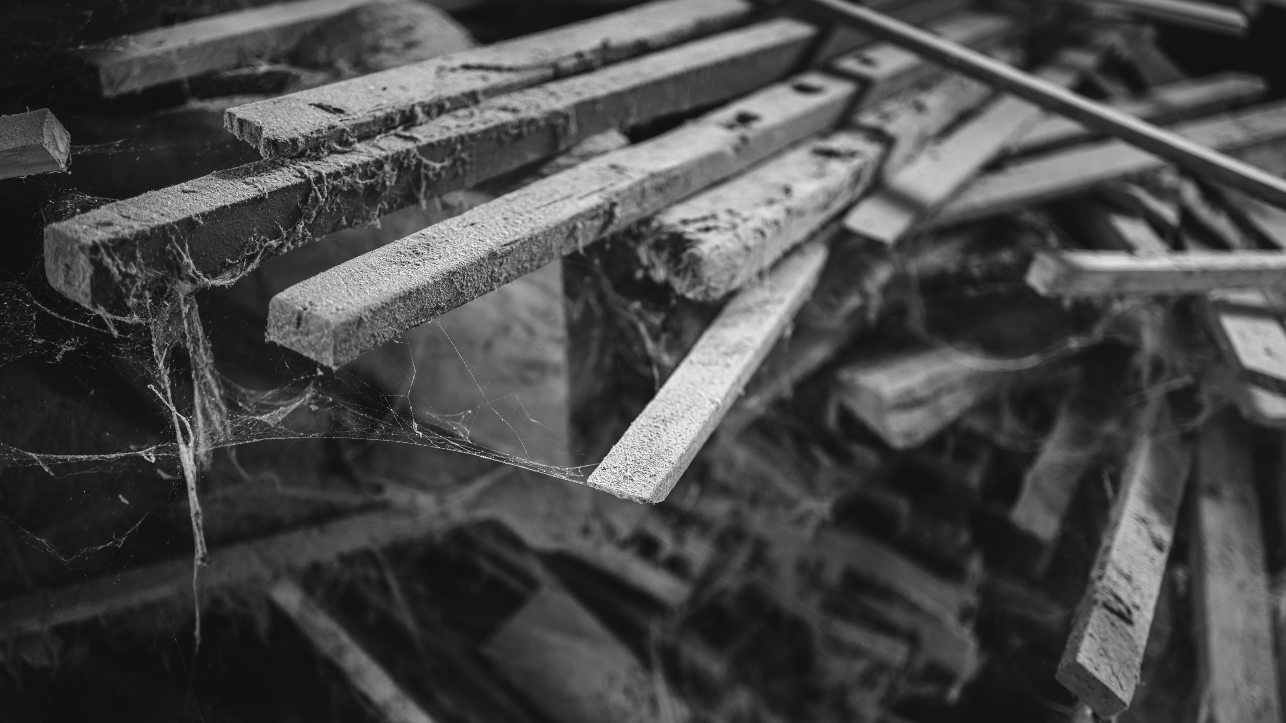 Olaf-Rudolfsen-2024-Life-Quality-Black-White-6